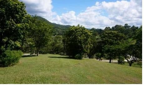 15 Glen Circuit, Clagiraba QLD 4211, Clagiraba - Thumbnail 8