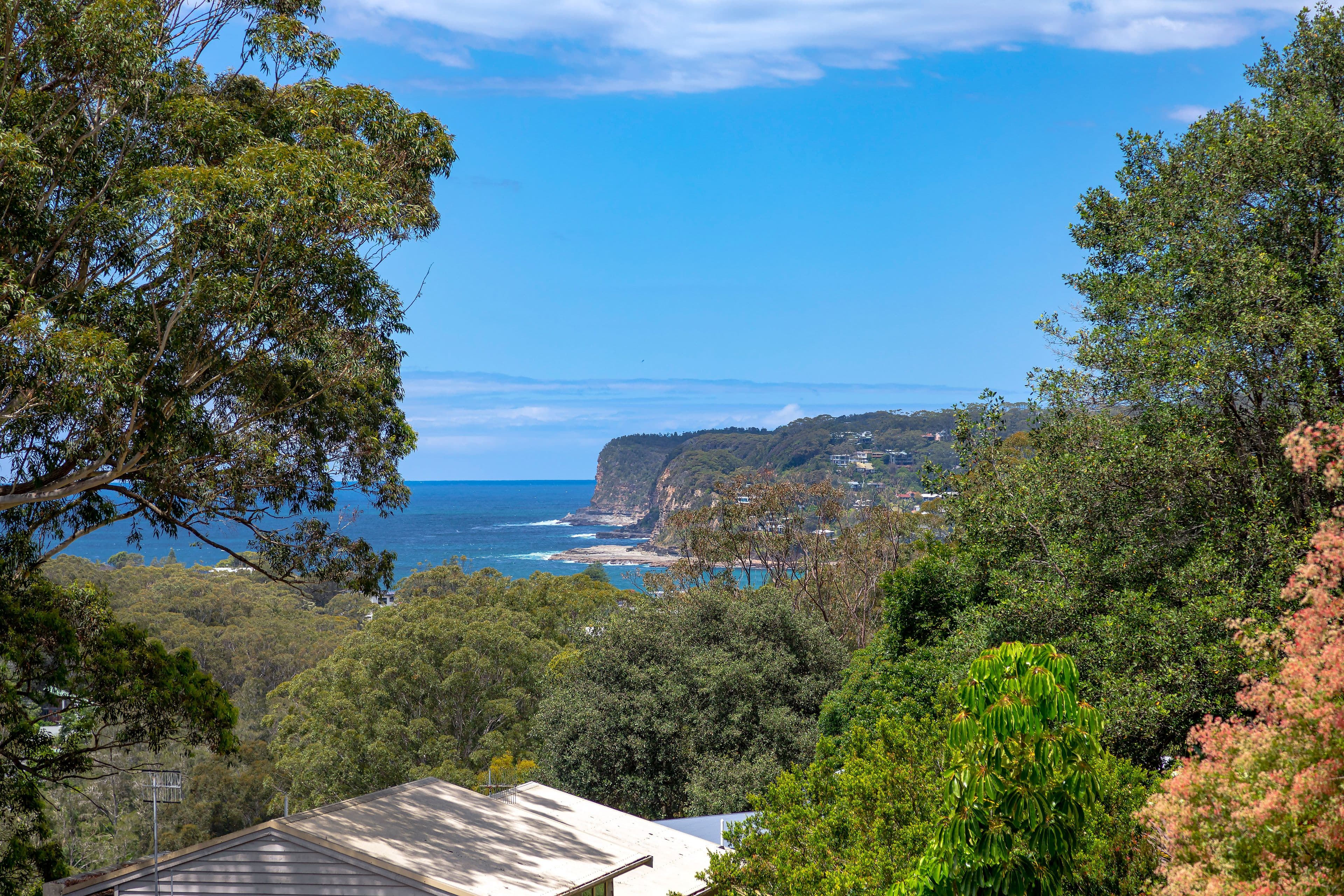 18 Bradleys Road, North Avoca NSW 2260, North Avoca - Thumbnail 3