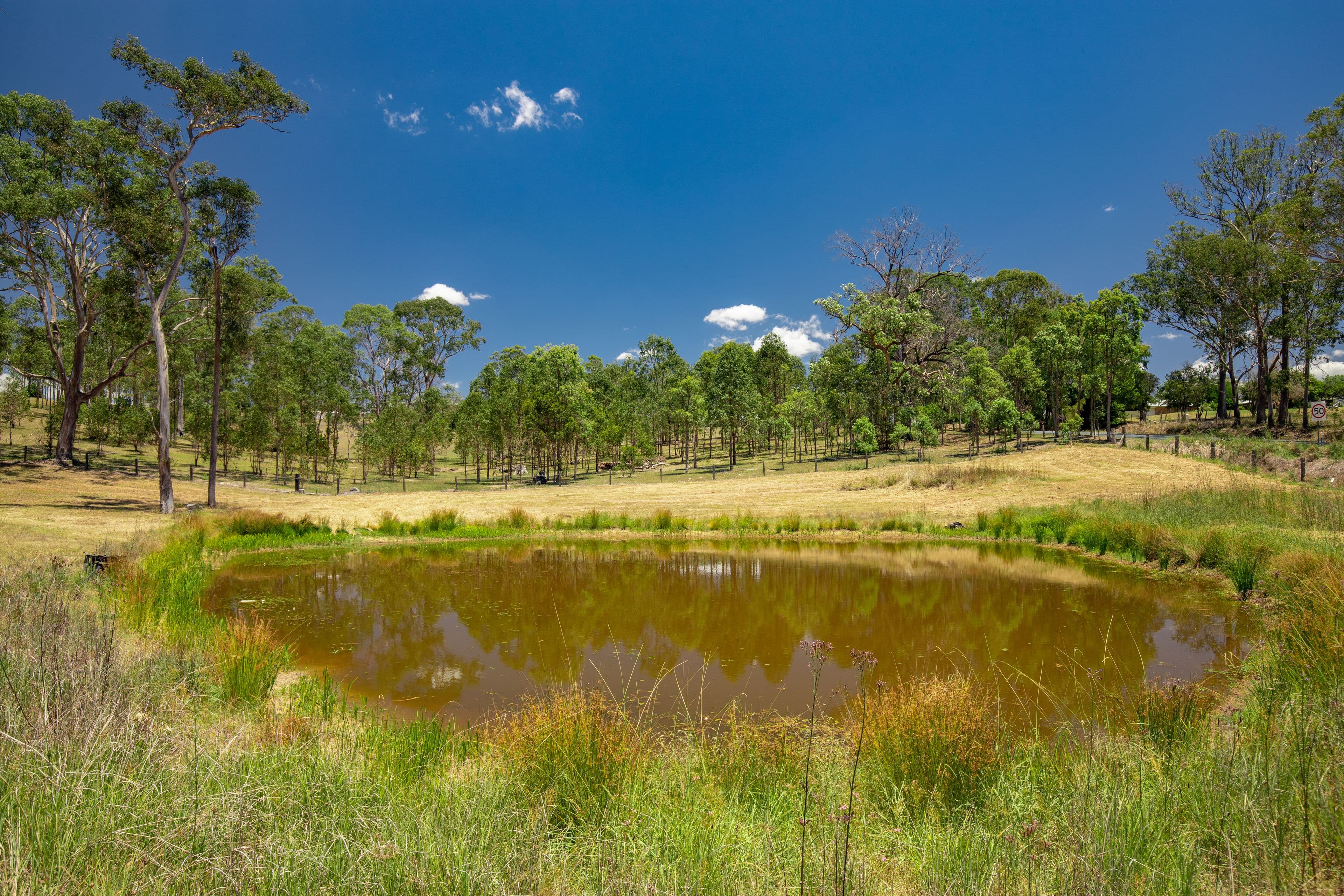 7 Phascogale Crescent, Gloucester NSW 2422, Gloucester - Thumbnail 8