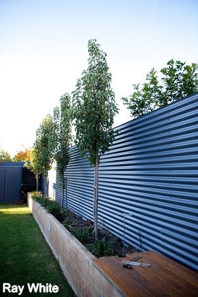 13 Holloway Street, Forbes NSW 2871, Forbes - Thumbnail 6