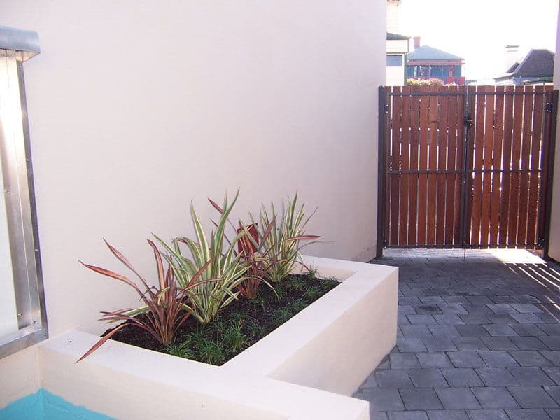 29 Kelly Circle, Rutherford - Thumbnail 8