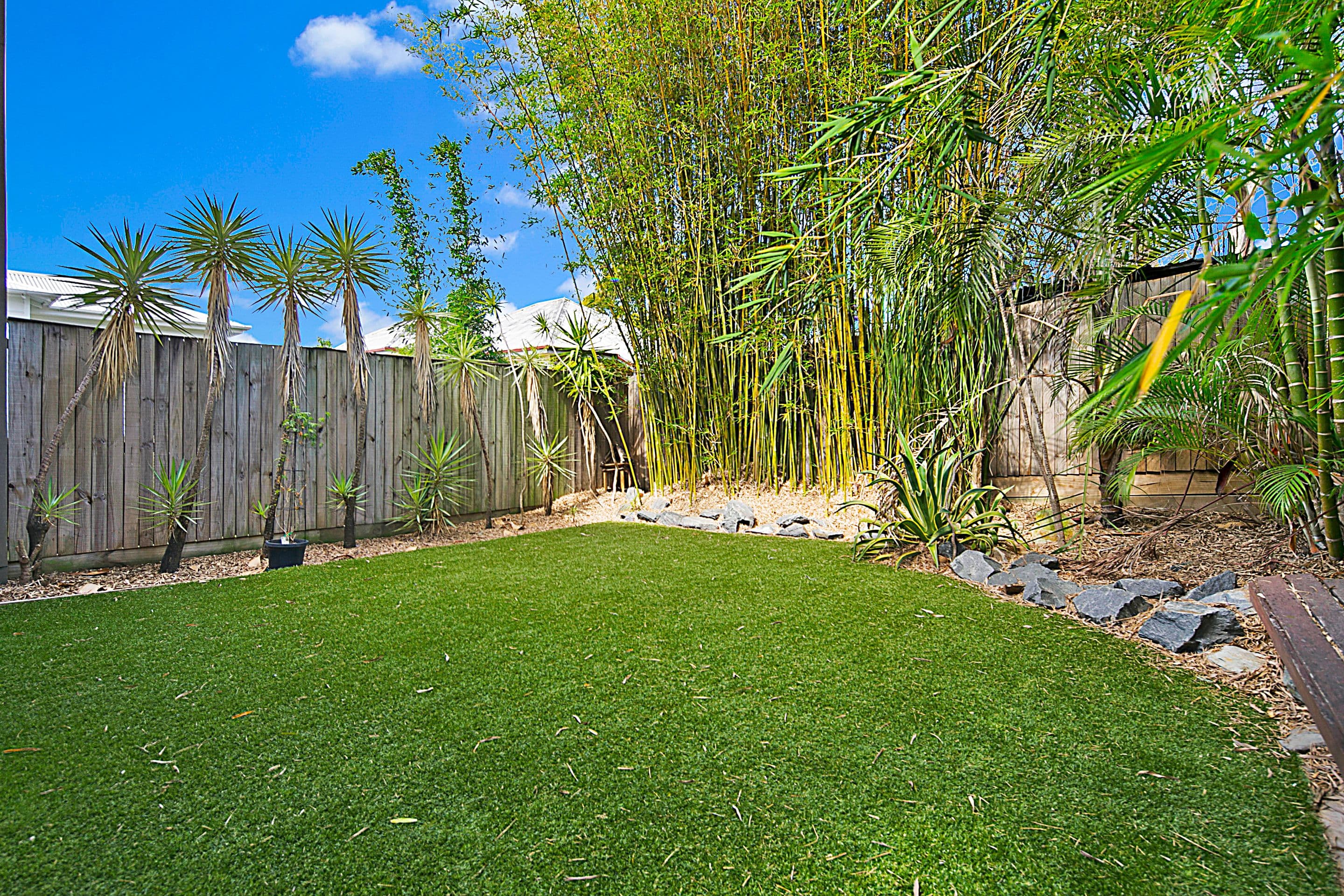 33 Riddell Street, Bulimba QLD 4171, Bulimba - Thumbnail 8