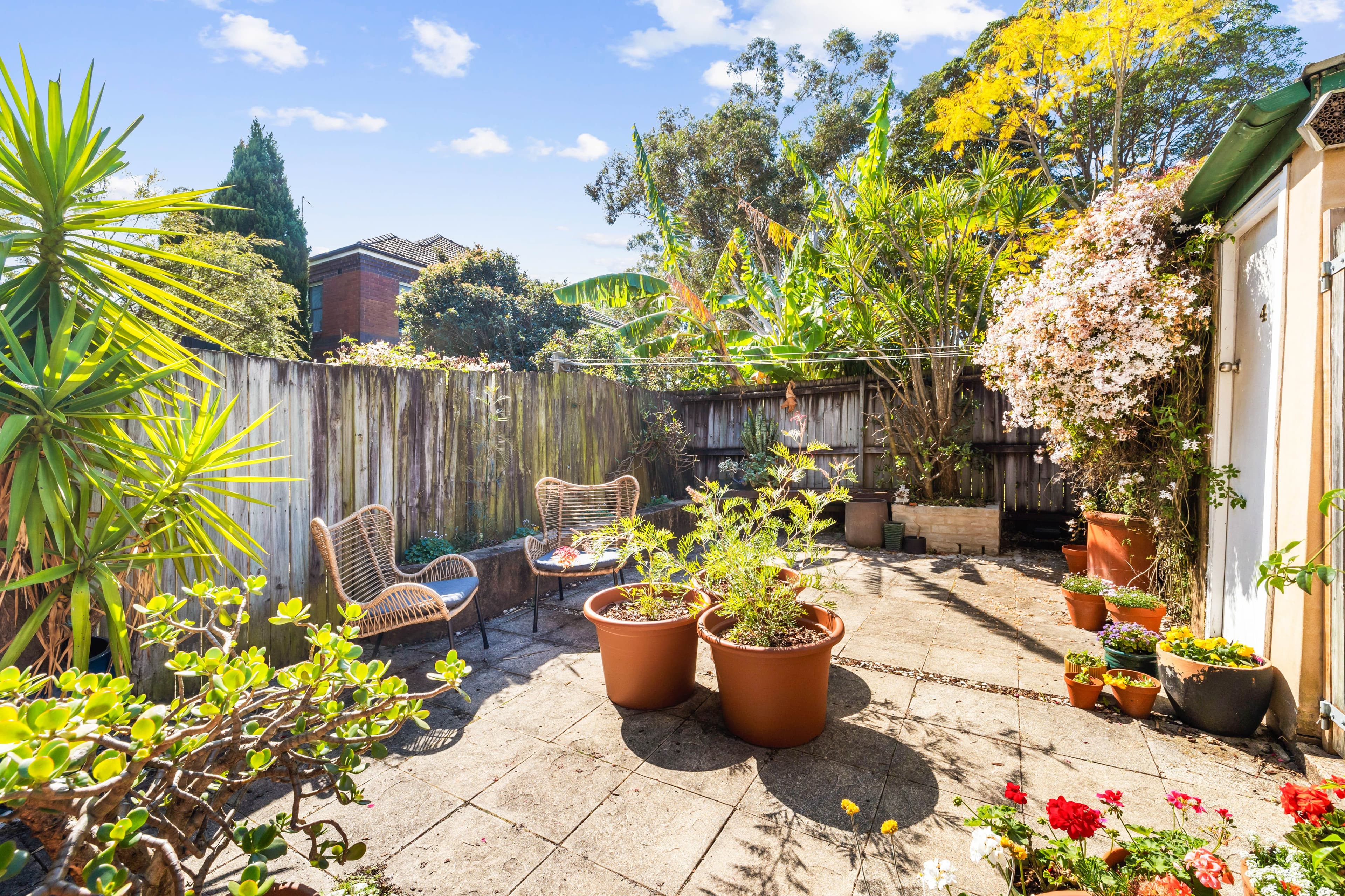 91 Charlotte Street, Ashfield NSW 2131, Ashfield - Thumbnail 7