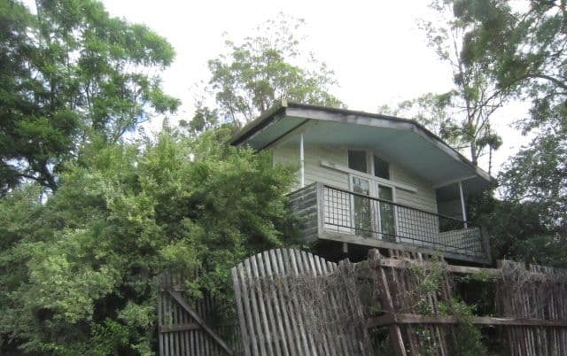23 Donfern Street, MOUNT GRAVATT QLD 4122, Mount Gravatt - Thumbnail 6