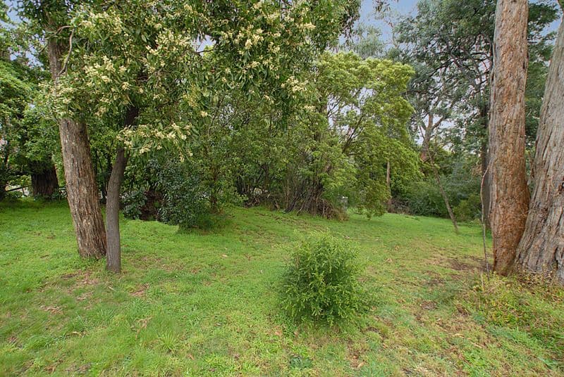 38 the Avenue, FERNTREE GULLY VIC 3156, Ferntree Gully - Thumbnail 6
