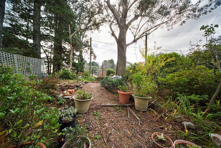 5 Ada Road, BLACKHEATH NSW 2785, Blackheath - Thumbnail 6