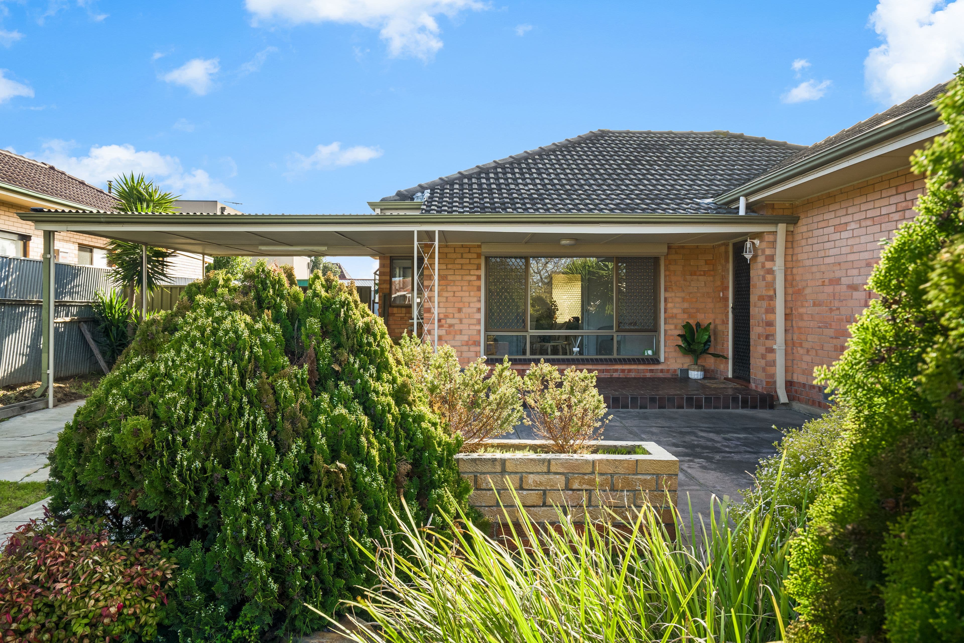 19 Montrose Avenue, Seaton SA 5023, Seaton - Thumbnail 2
