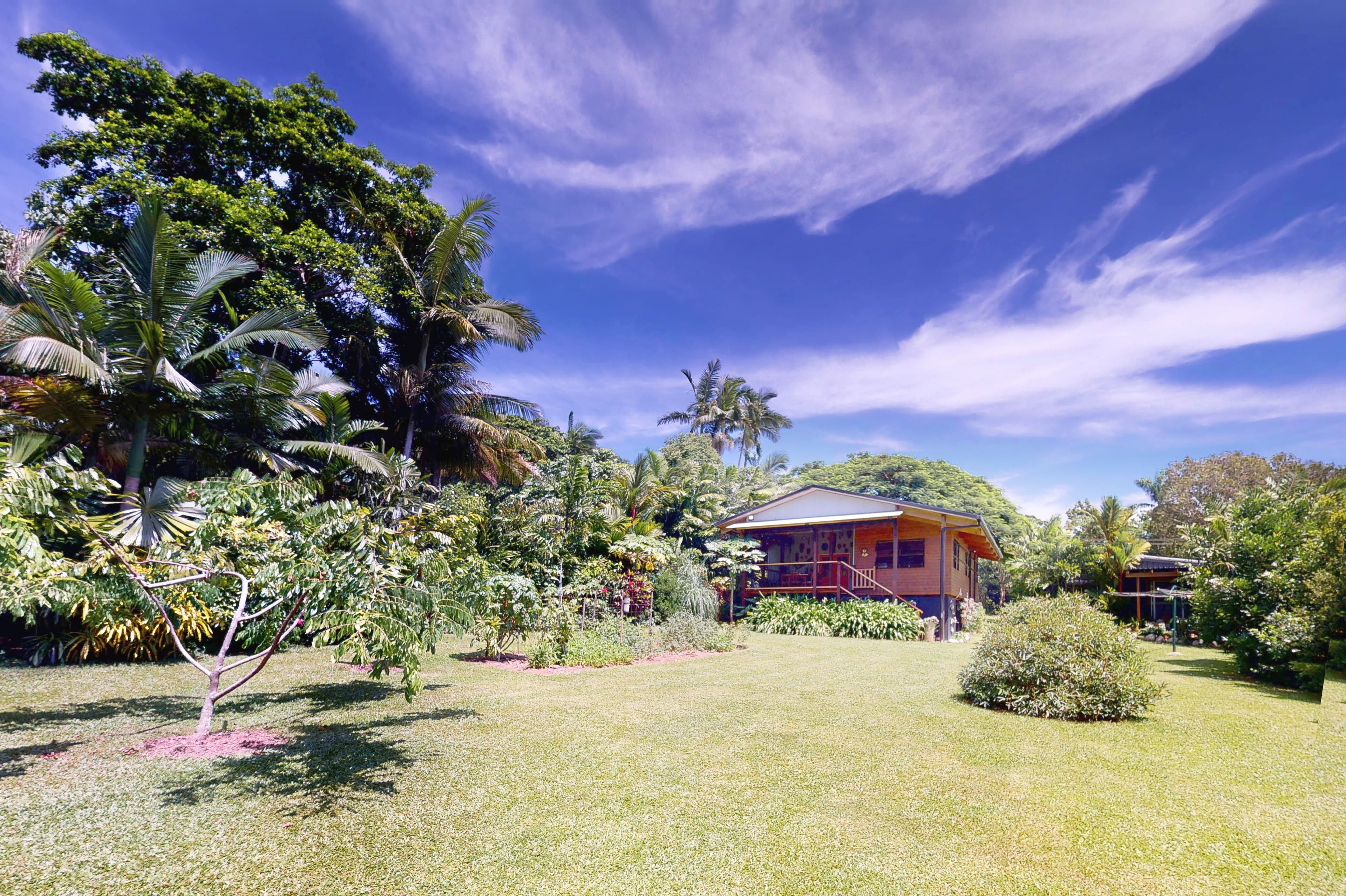 9 Webb Court, Bingil Bay QLD 4852, Bingil Bay - Thumbnail 6