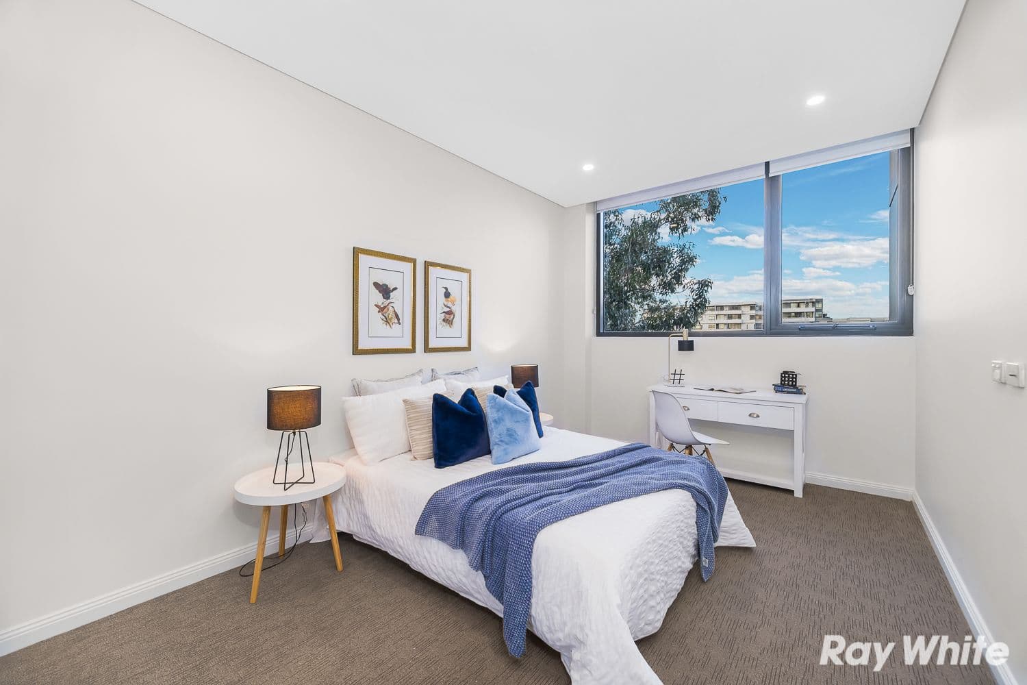 9 Rosebery Avenue, Rosebery NSW 2018, Rosebery - Thumbnail 3