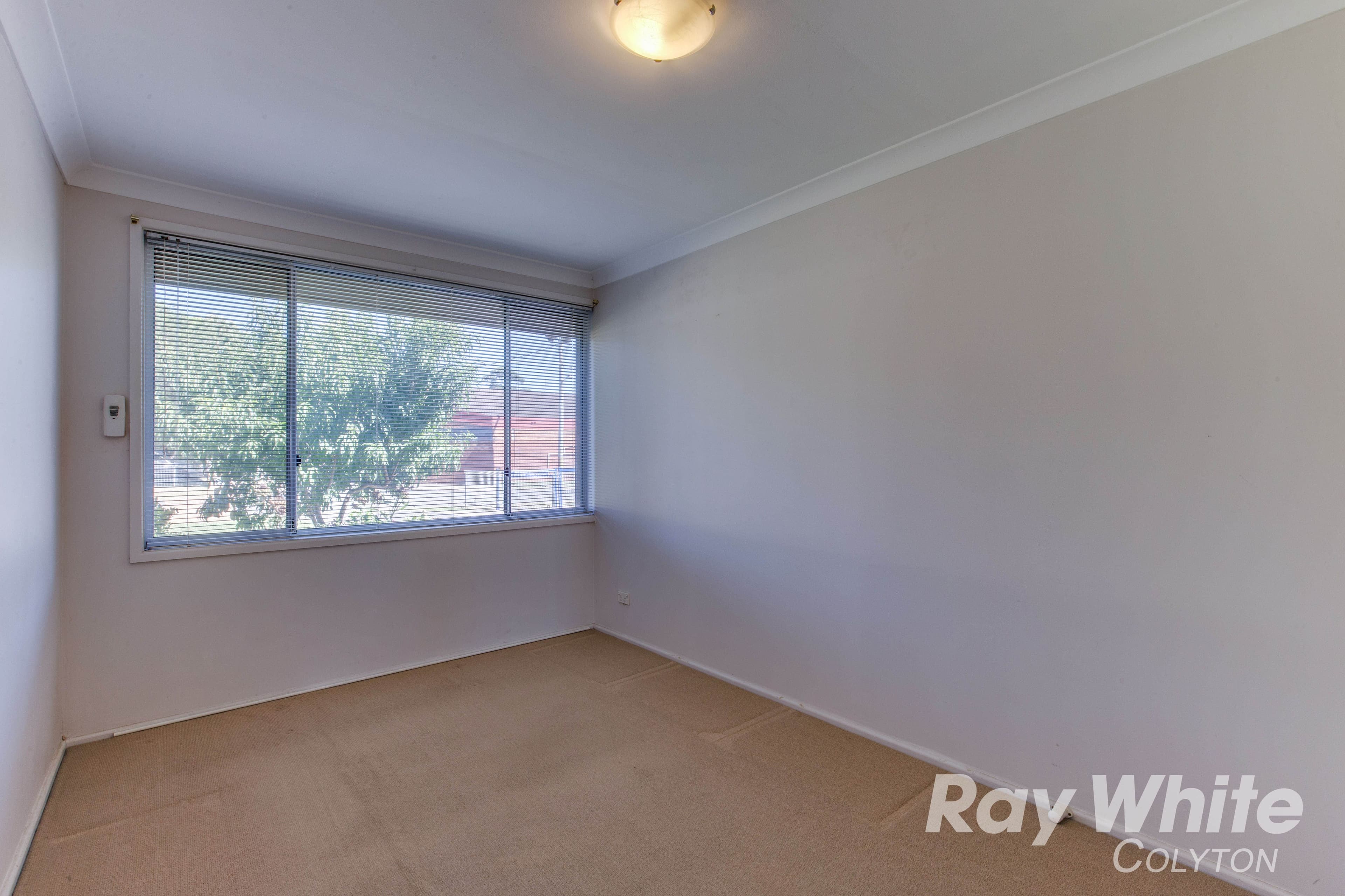 10 Willoughby Street, Colyton - Thumbnail 7