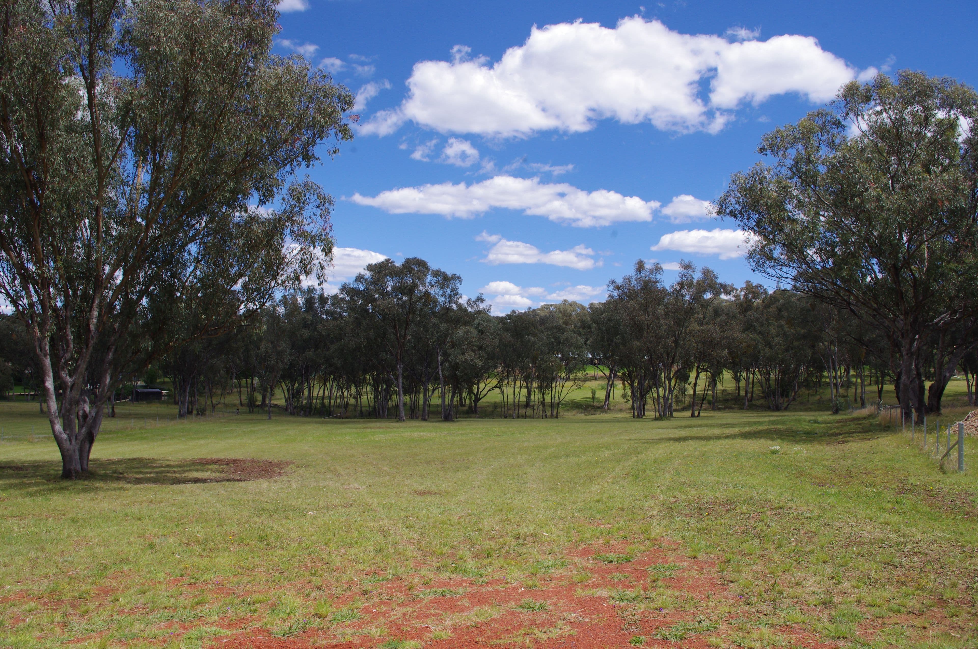 Lot 3 White Box Place, Inverell NSW 2360, Inverell - Thumbnail 3