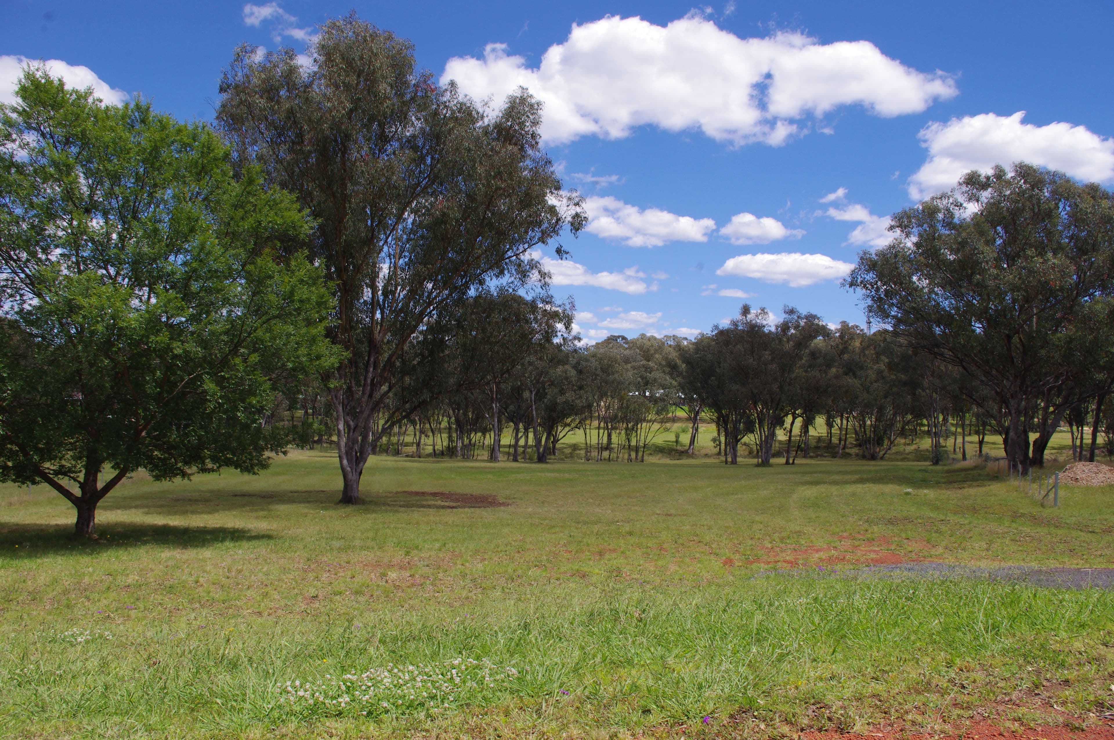 Lot 3 White Box Place, Inverell NSW 2360, Inverell - Thumbnail 5