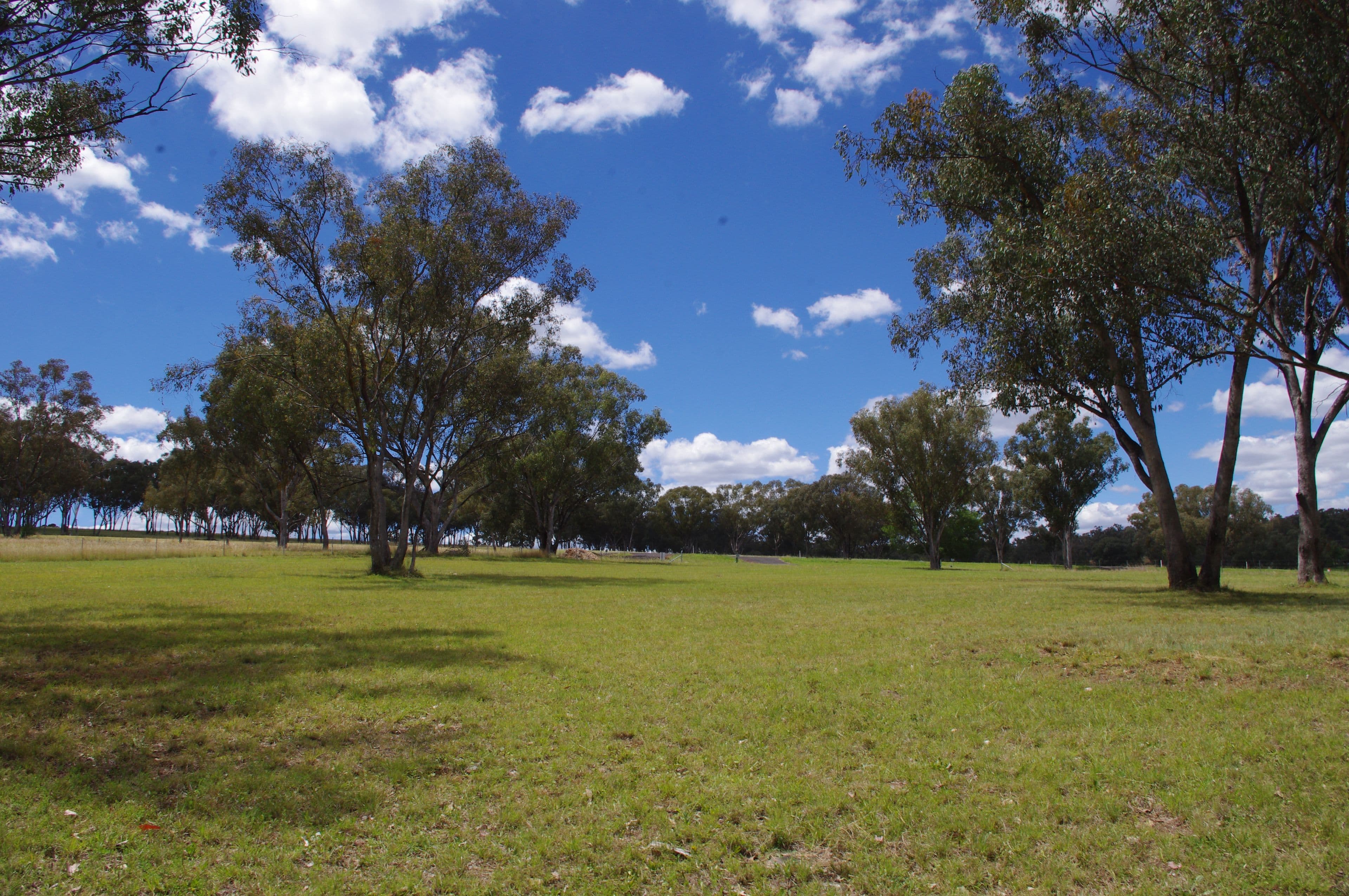 Lot 3 White Box Place, Inverell NSW 2360, Inverell - Thumbnail 6