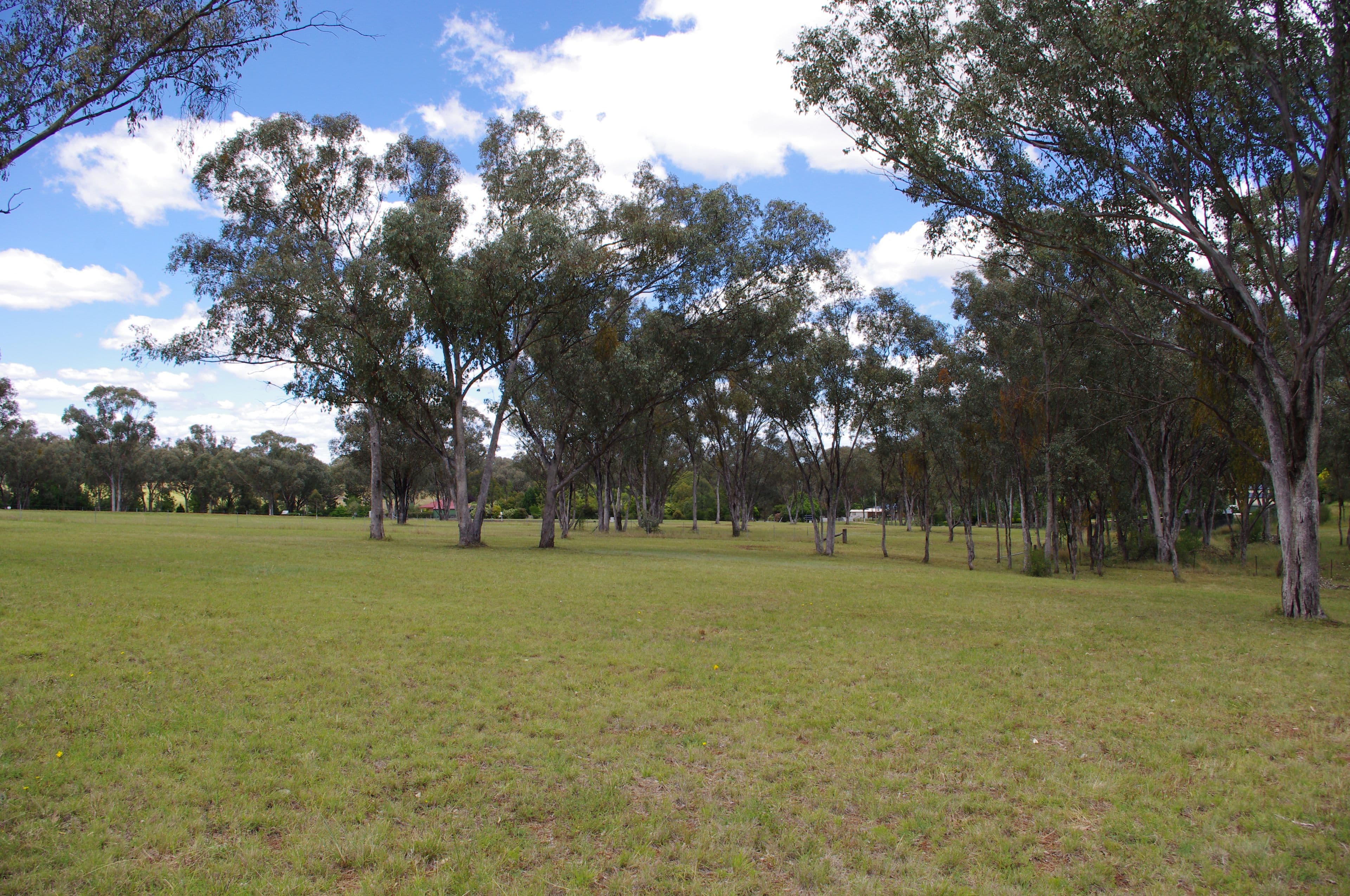 Lot 3 White Box Place, Inverell NSW 2360, Inverell - Thumbnail 7