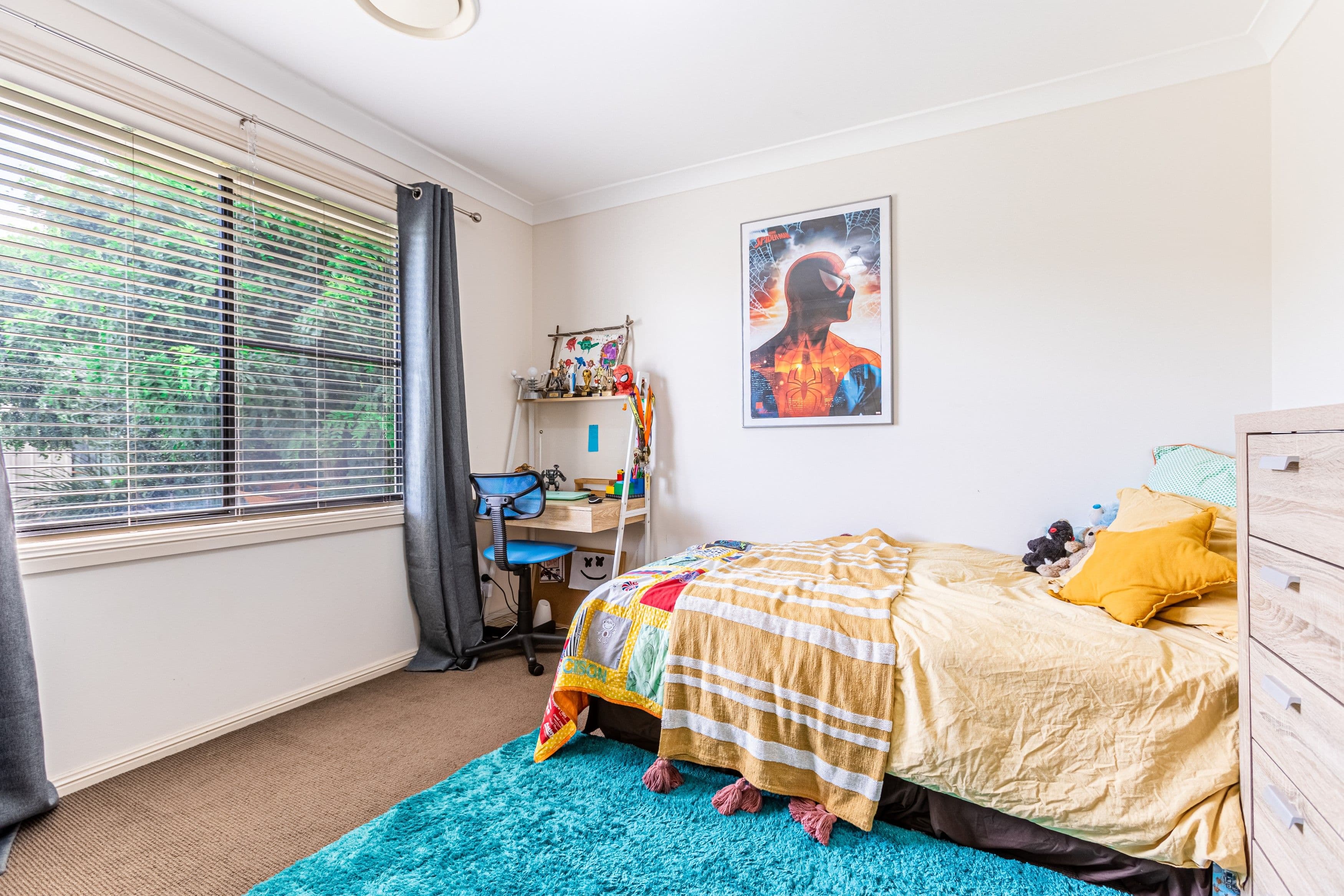 19 Carnegie Avenue, Dubbo NSW 2830, Dubbo - Thumbnail 8