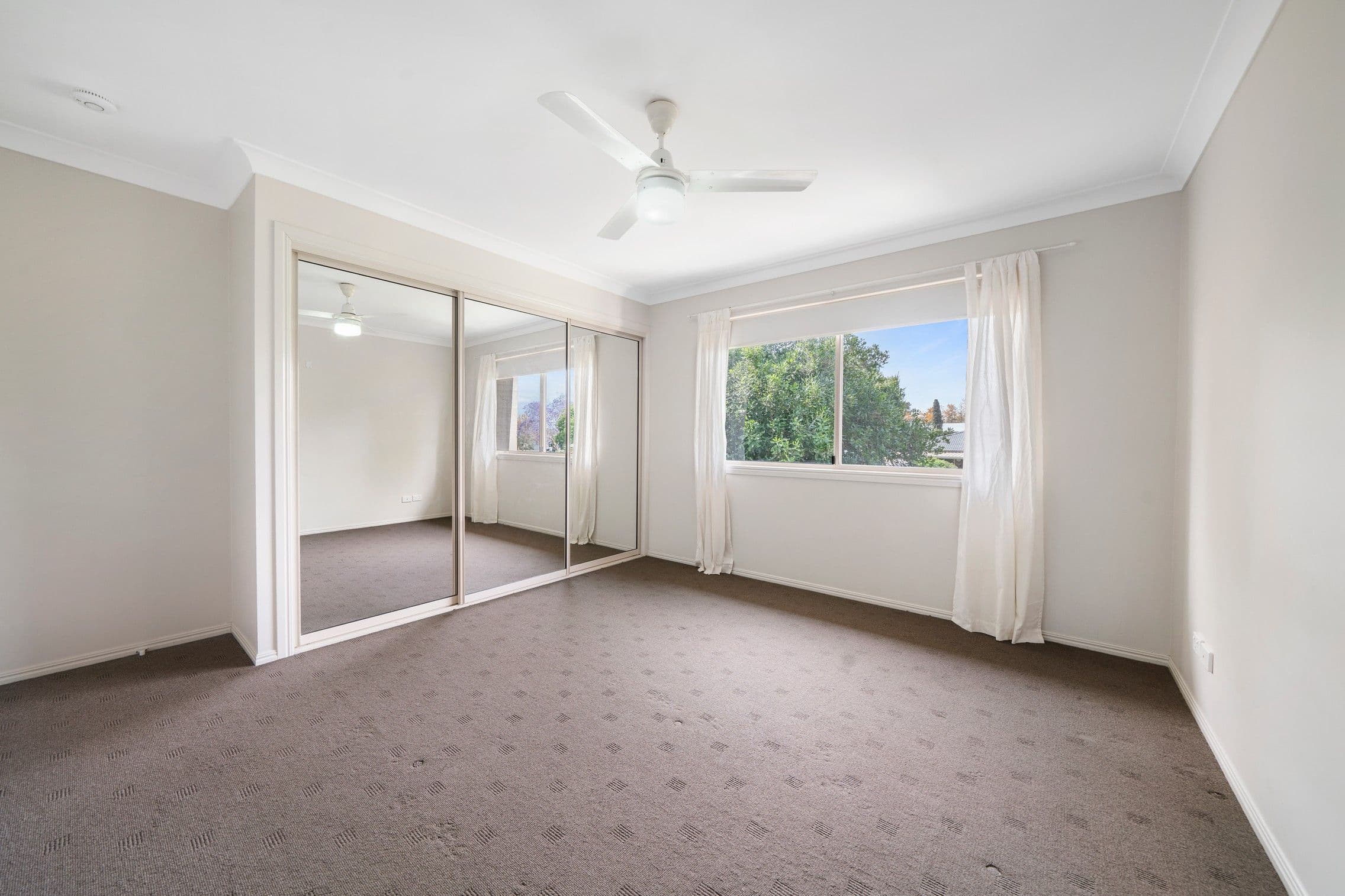 24 Murray Street, Pittsworth QLD 4356, Pittsworth - Thumbnail 8