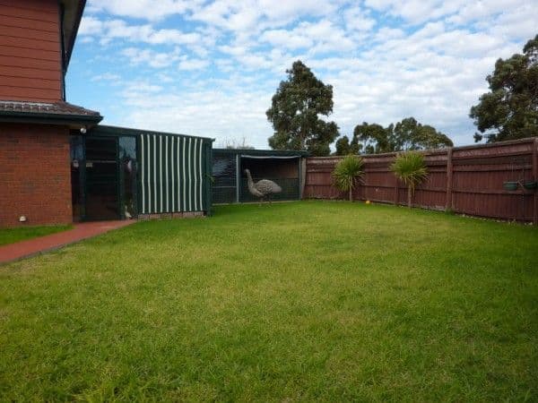 22 Honeyeater Place, CARRUM DOWNS VIC 3201, Carrum Downs - Thumbnail 7
