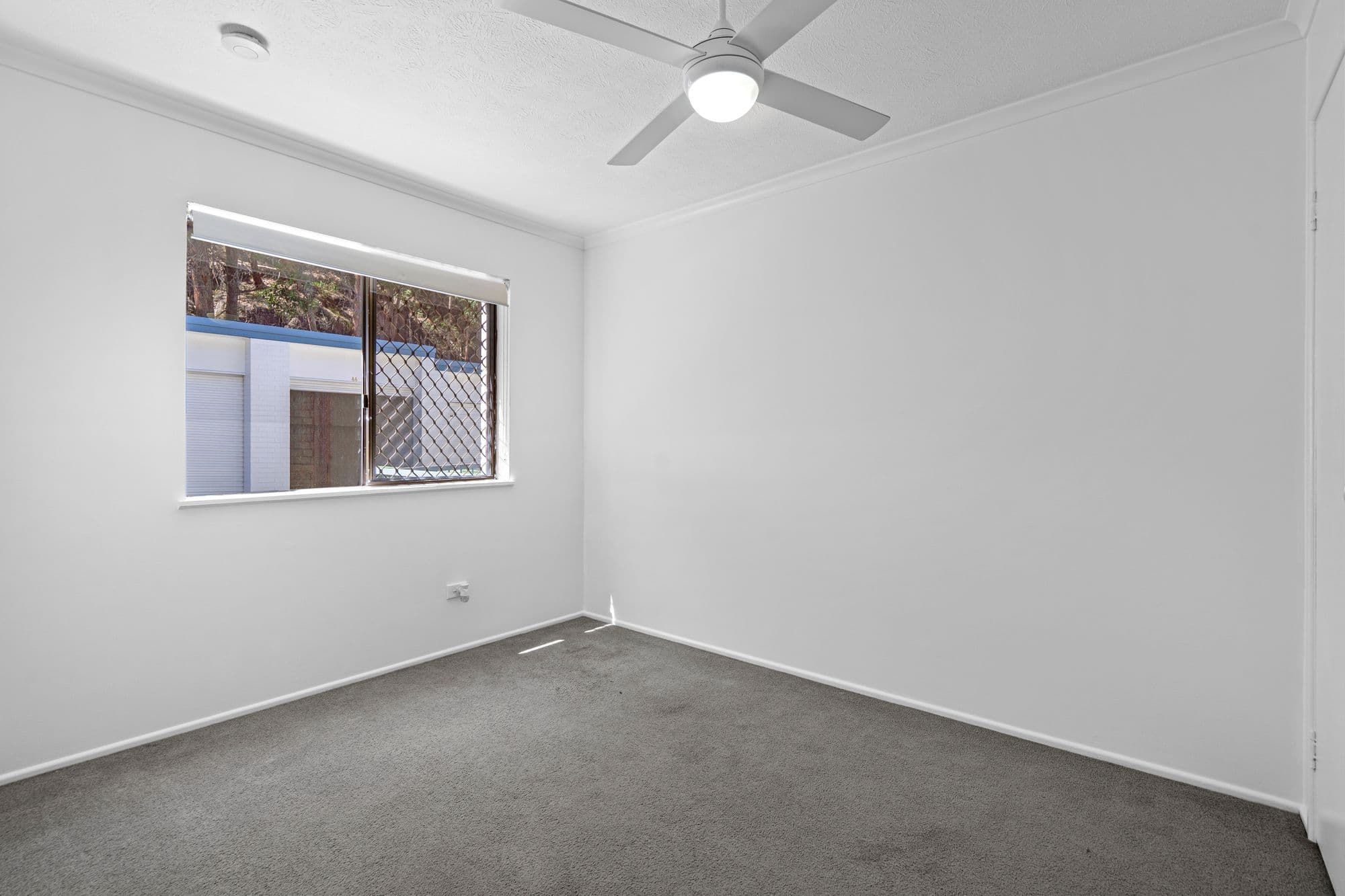 169 John Paul Drive, Springwood QLD 4127, Springwood - Thumbnail 5