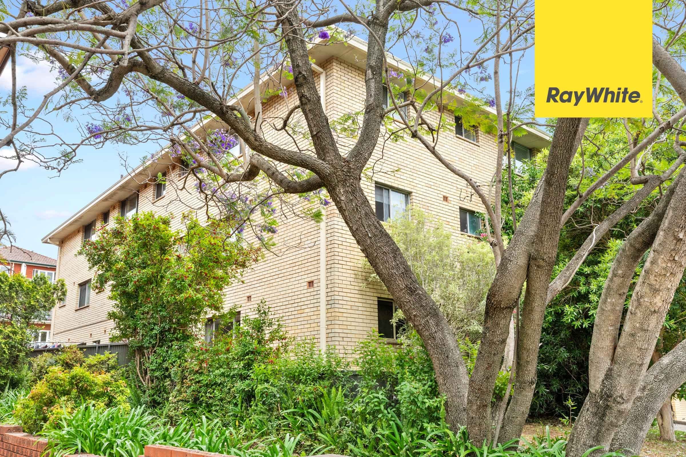 23 May Street, Eastwood NSW 2122, Eastwood - Thumbnail 6