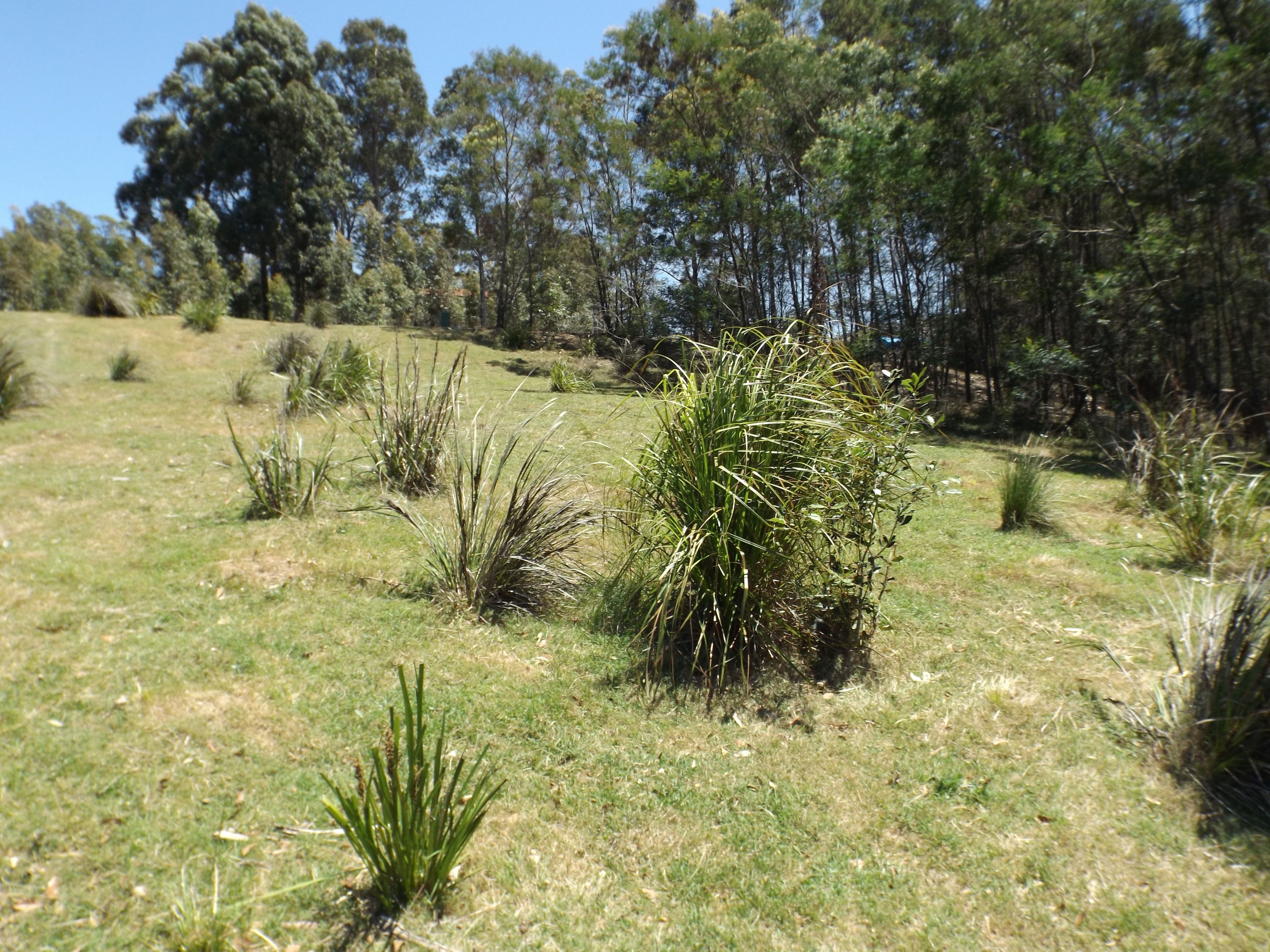 20 Clarence Street, Long Beach NSW 2536, Long Beach - Thumbnail 2