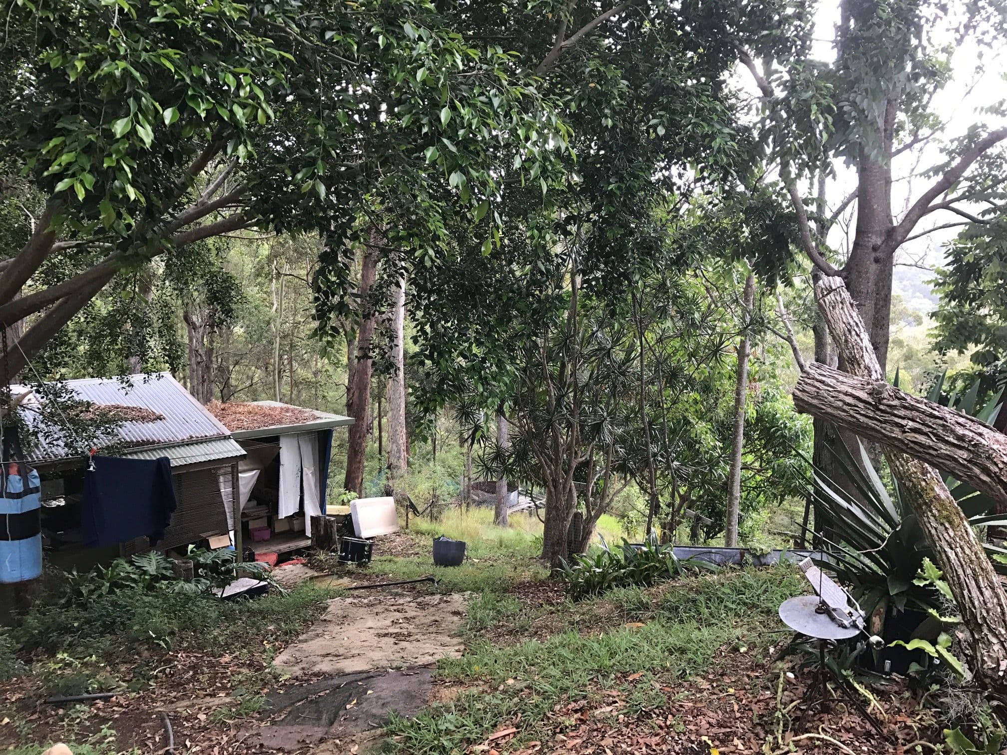 145 Nancol Drive, Tallebudgera Valley QLD 4228, Tallebudgera Valley - Image 1