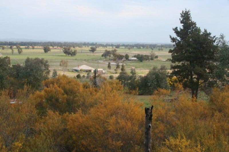Lot 10 West Street, EUGOWRA NSW 2806, Eugowra - Image 1