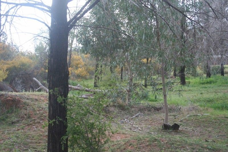 Lot 10 West Street, EUGOWRA NSW 2806, Eugowra - Thumbnail 2