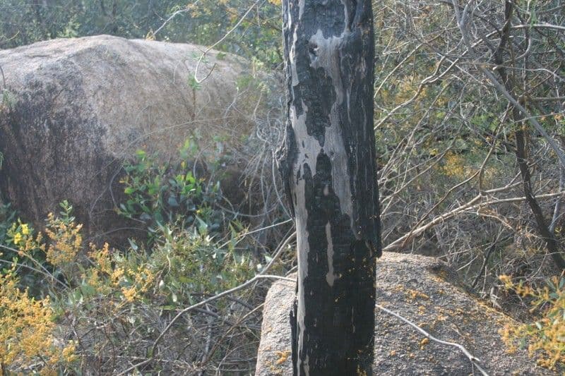 Lot 10 West Street, EUGOWRA NSW 2806, Eugowra - Thumbnail 3
