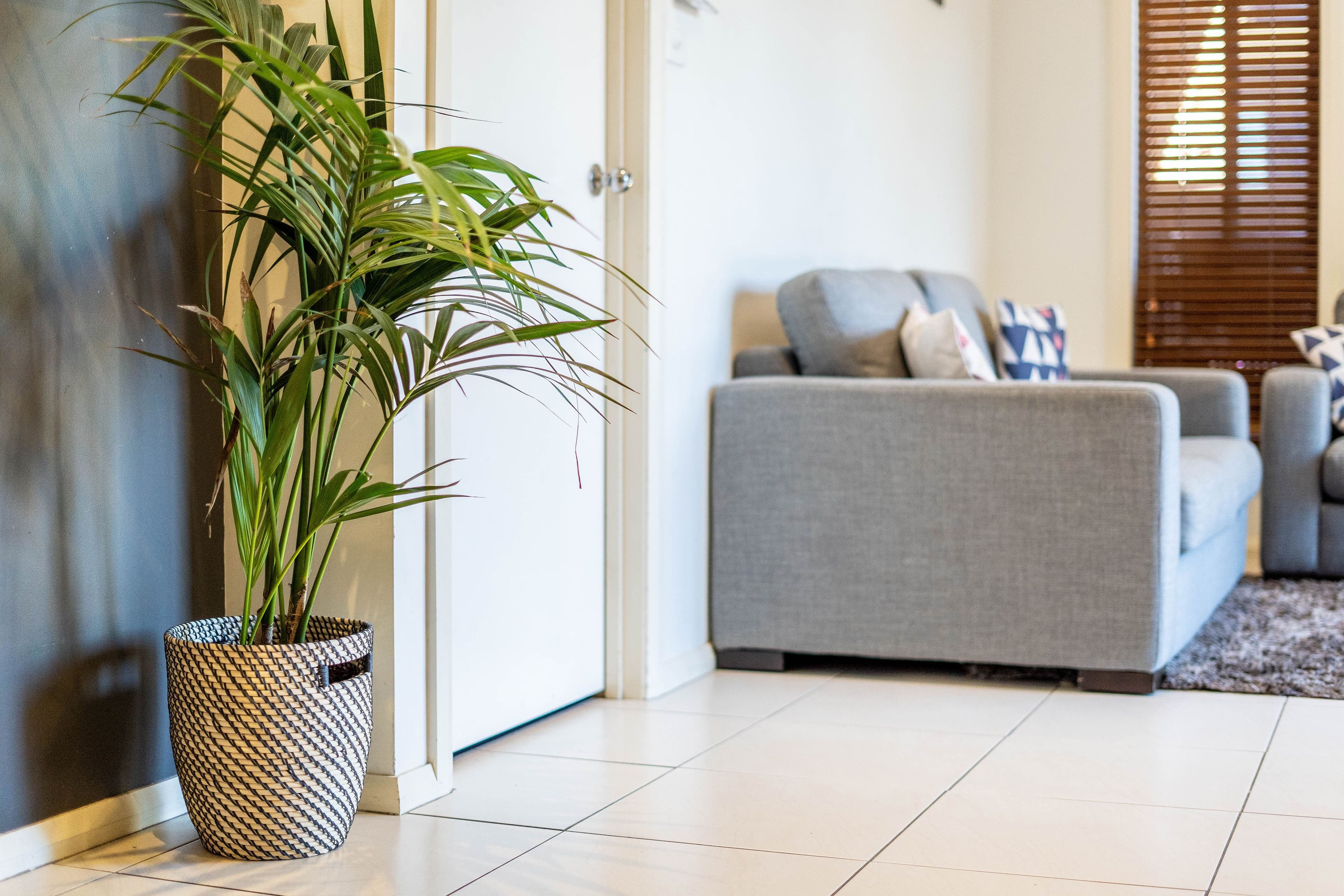 12 Redwater Place, Amaroo ACT 2914, Amaroo - Thumbnail 3