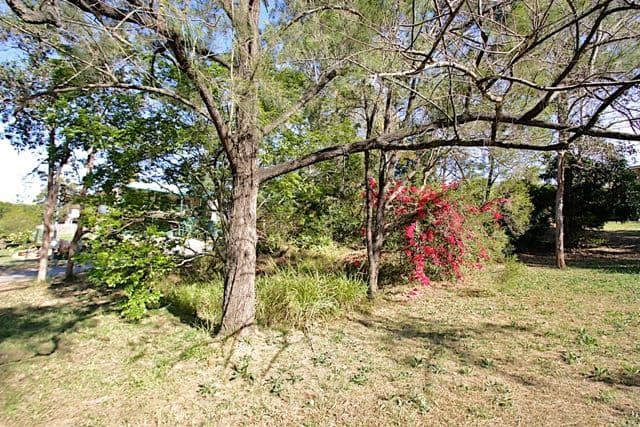 14 Robinson Street, BRASSALL QLD 4305, Brassall - Thumbnail 5