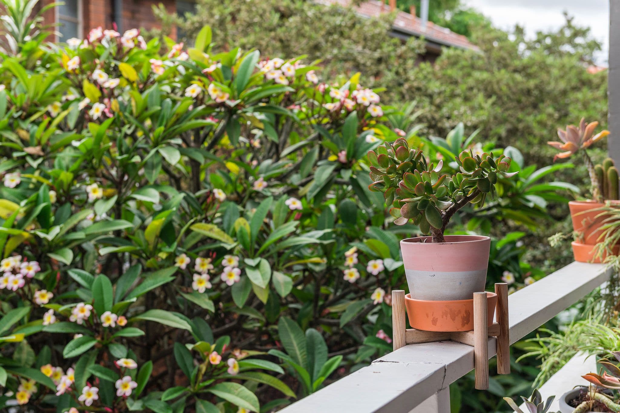 43-45 Livingstone Road, Petersham NSW 2049, Petersham - Thumbnail 8