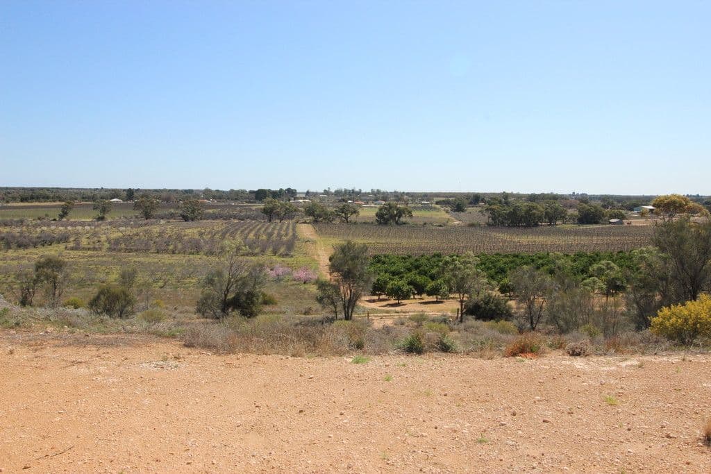 467 Mackintosh Road, Cadell SA 5321, Cadell - Thumbnail 8