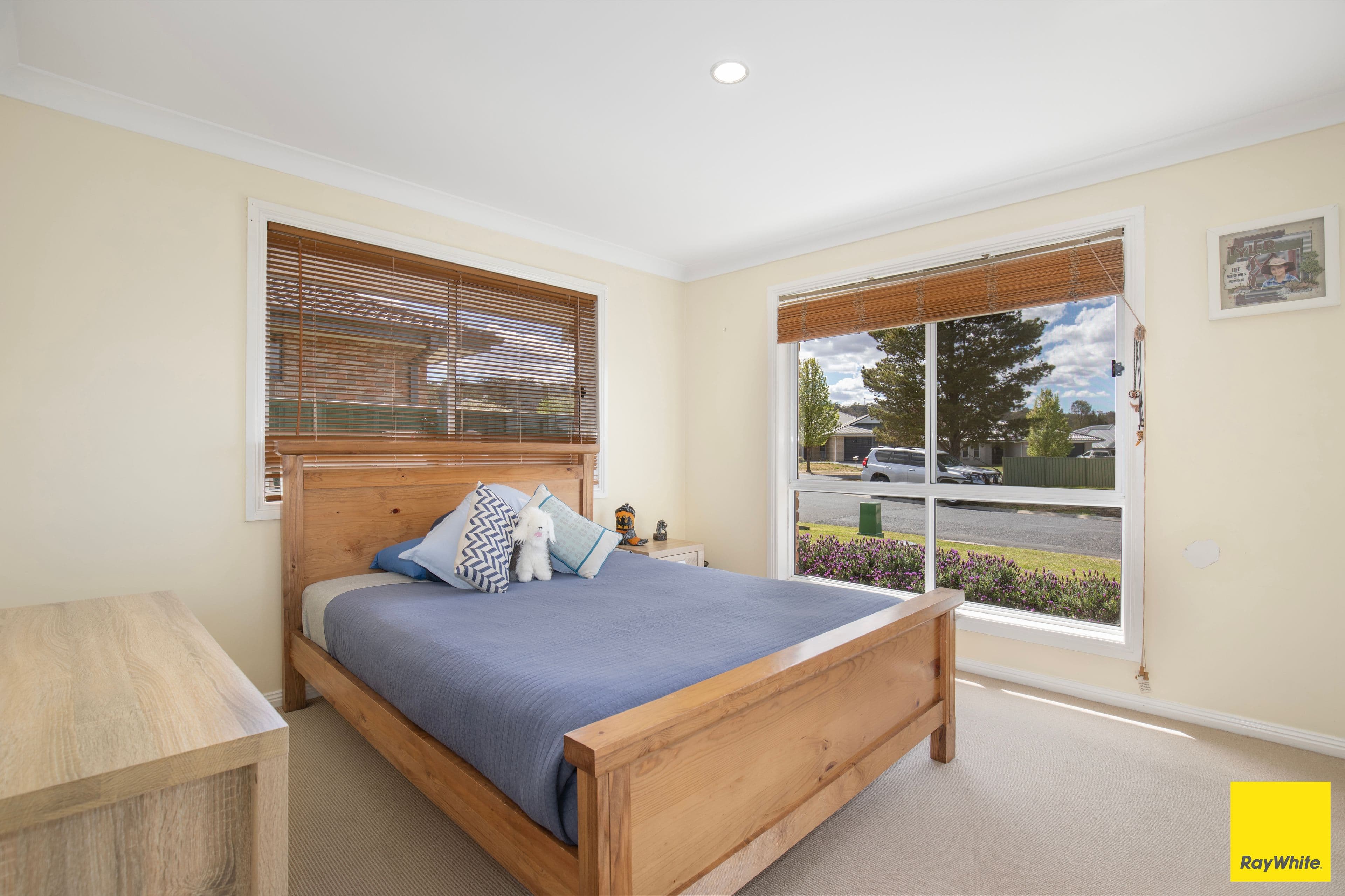 6 Aldred Avenue, Armidale NSW 2350, Armidale - Thumbnail 6