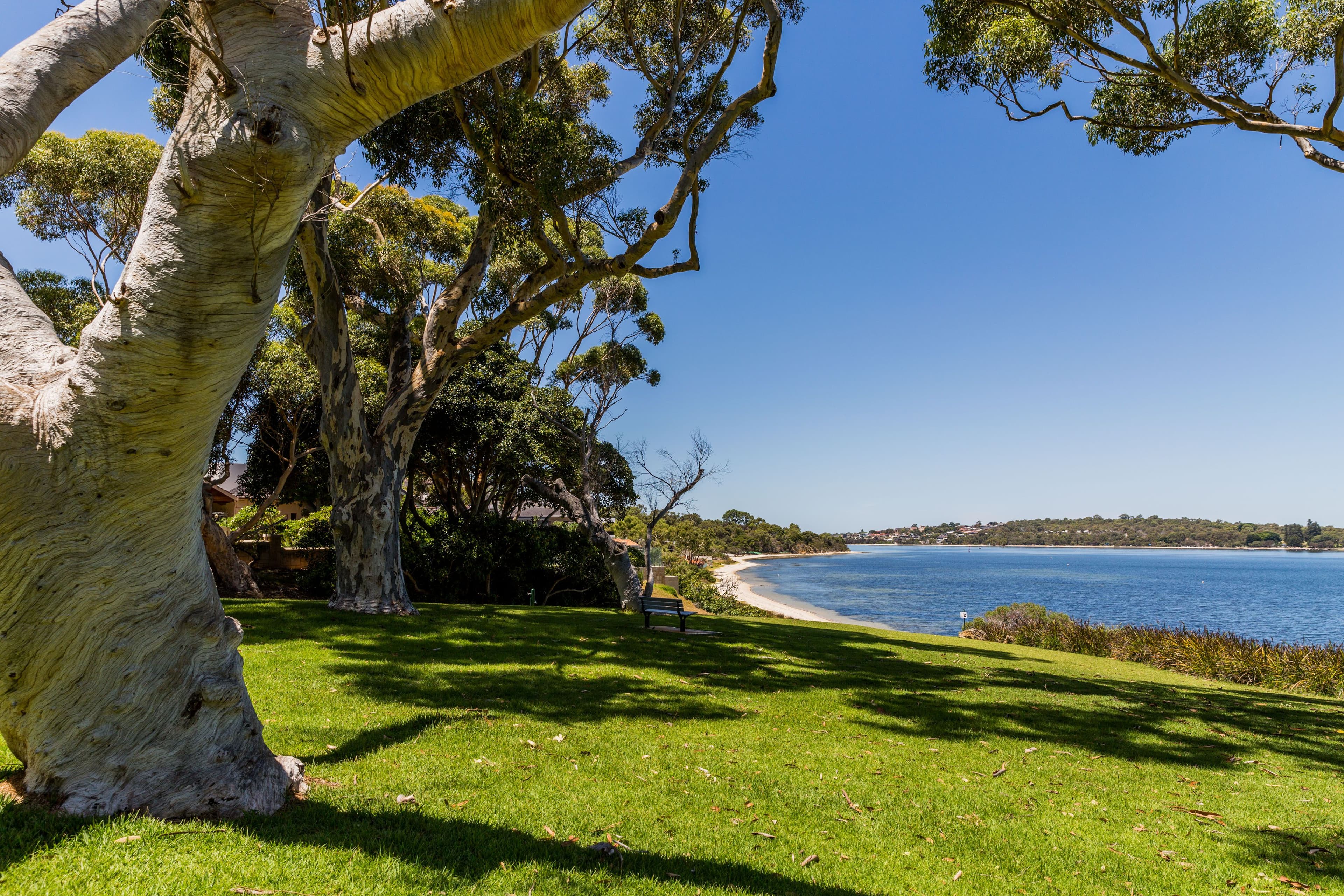 80 Dalkeith Road, Nedlands WA 6009, Nedlands - Image 1