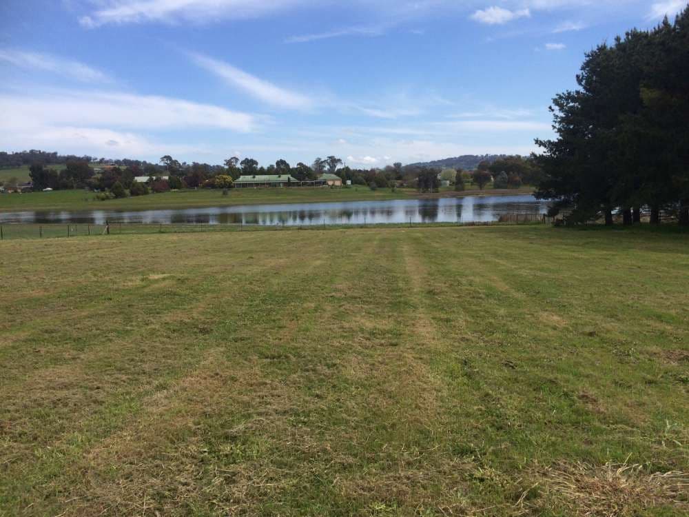 21 Clive Court, Table Top NSW 2640, Table Top - Image 1