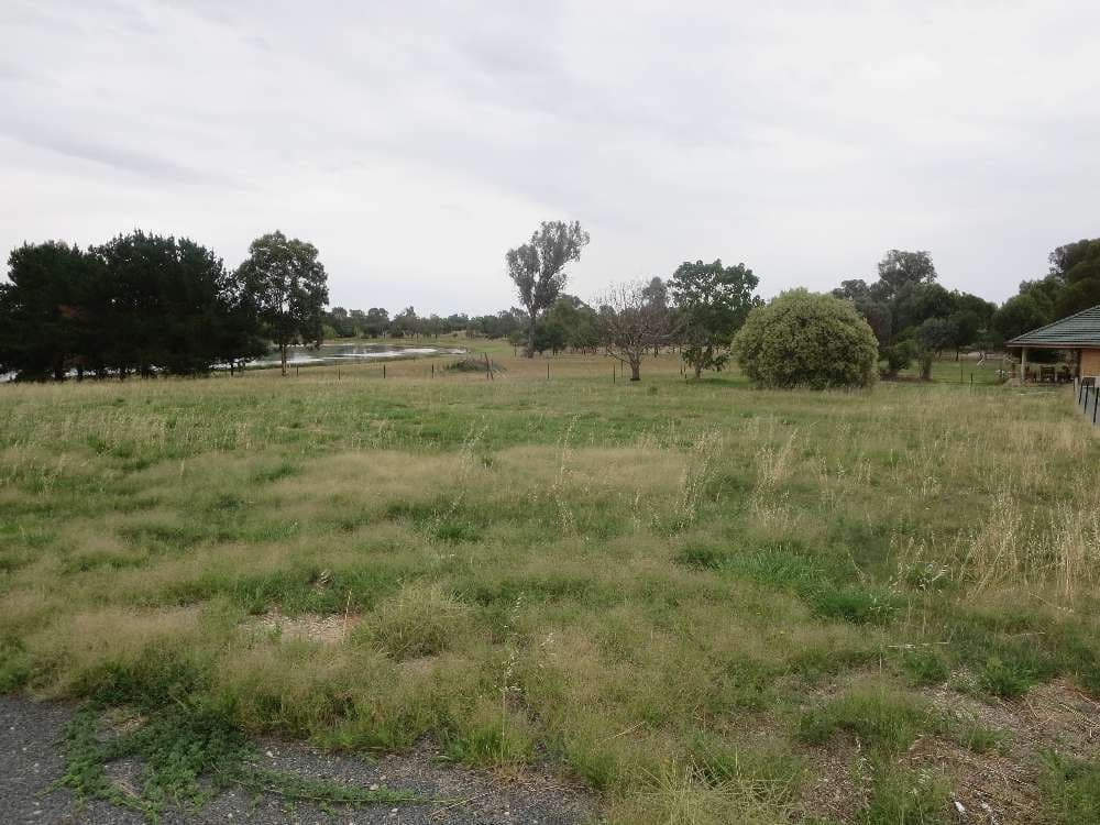 21 Clive Court, Table Top NSW 2640, Table Top - Thumbnail 2
