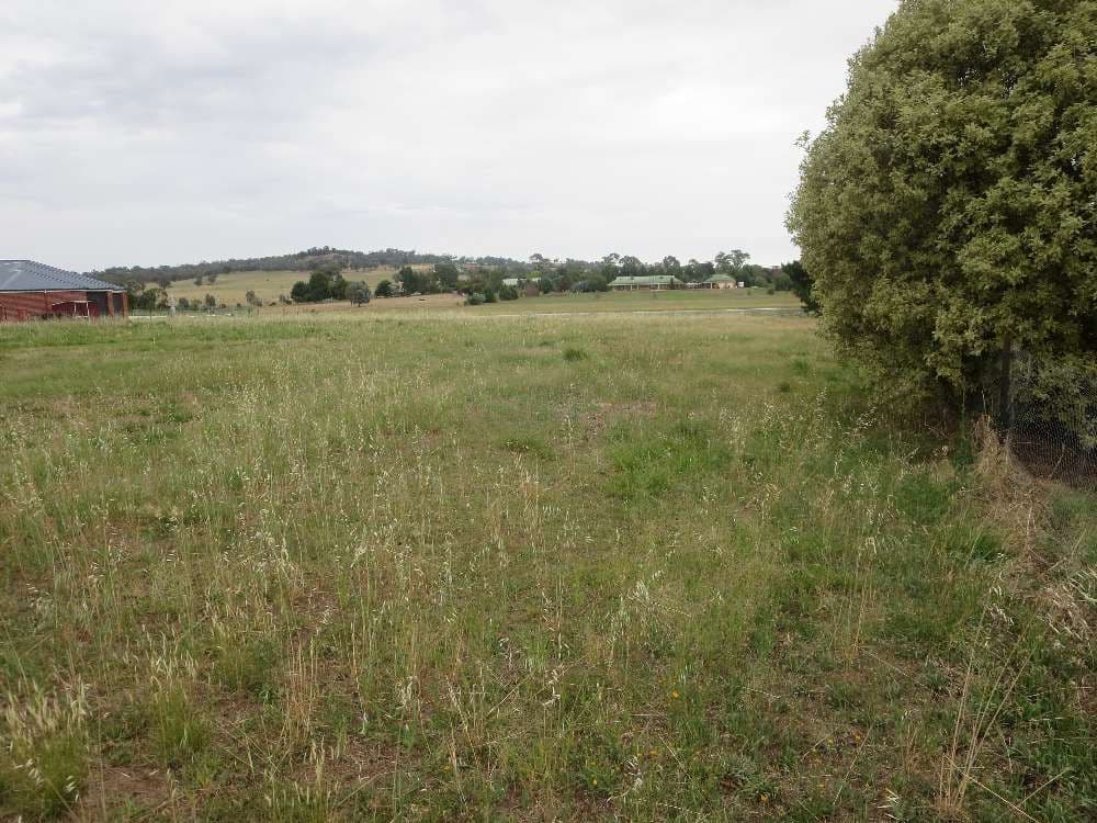 21 Clive Court, Table Top NSW 2640, Table Top - Thumbnail 3