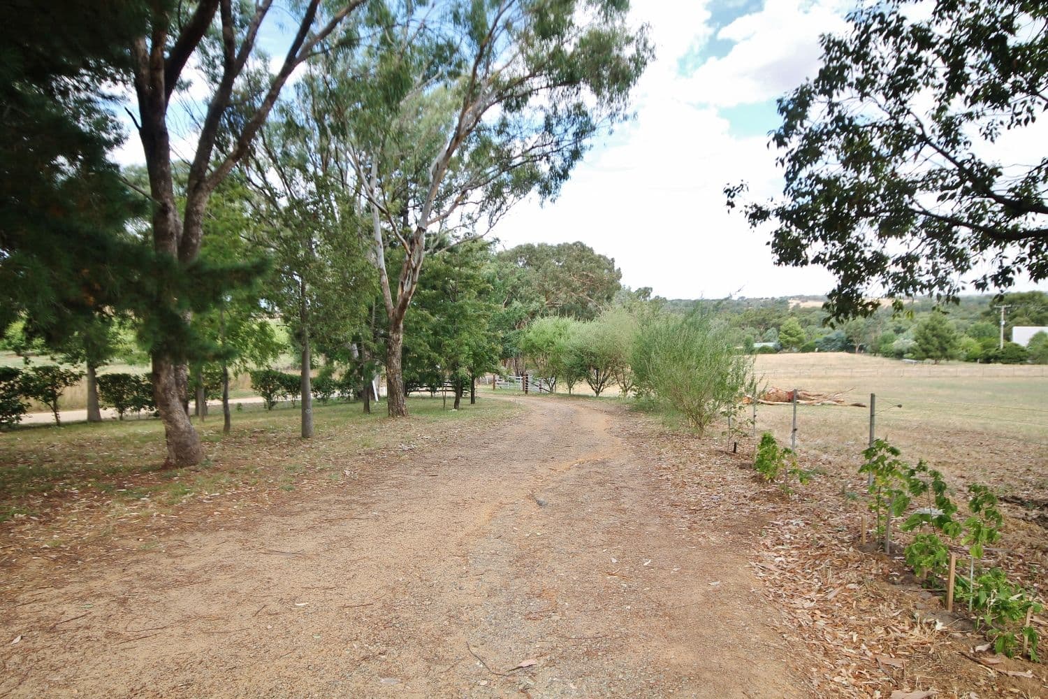 59 Noonans Road, Young - Image 1