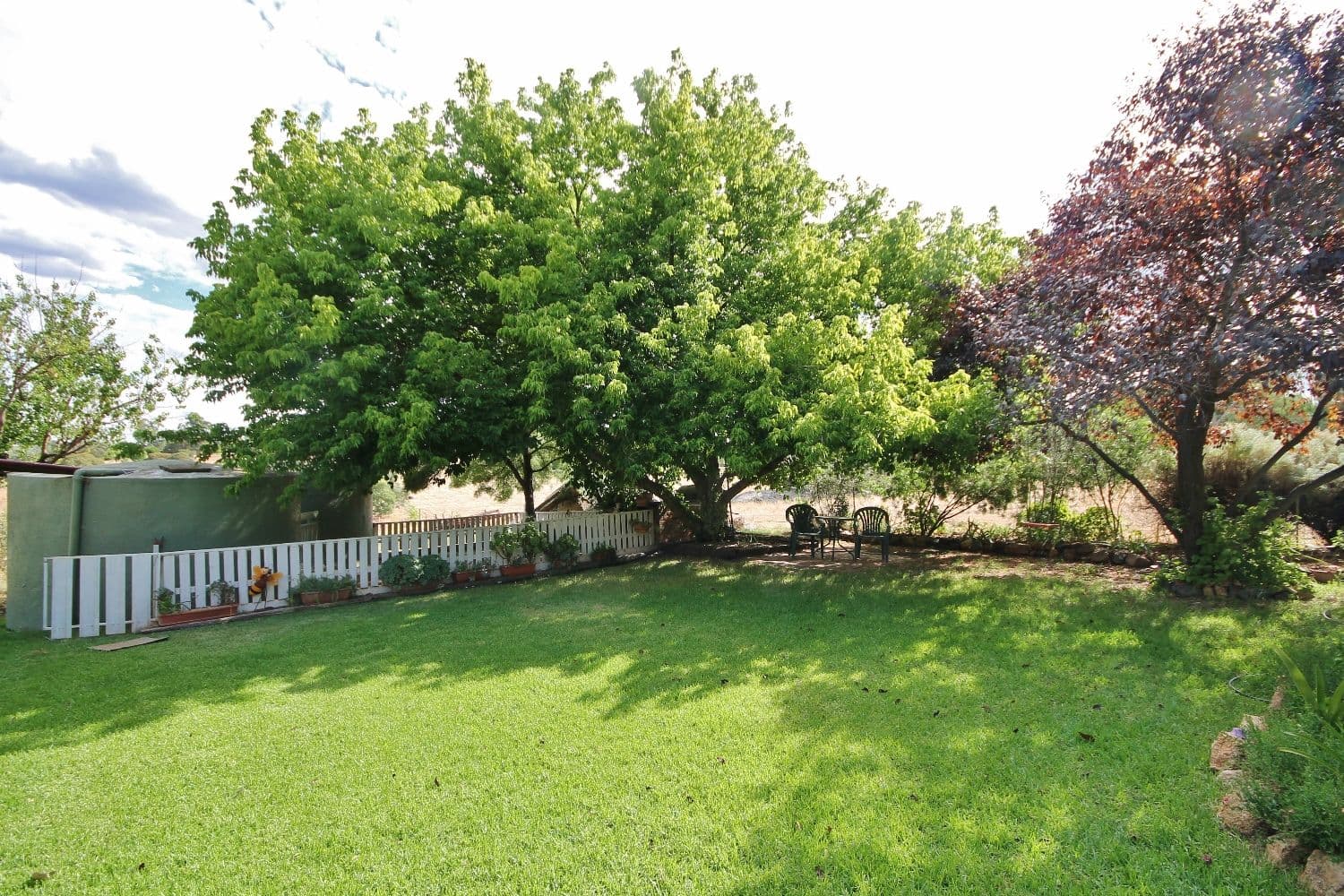59 Noonans Road, Young - Thumbnail 4