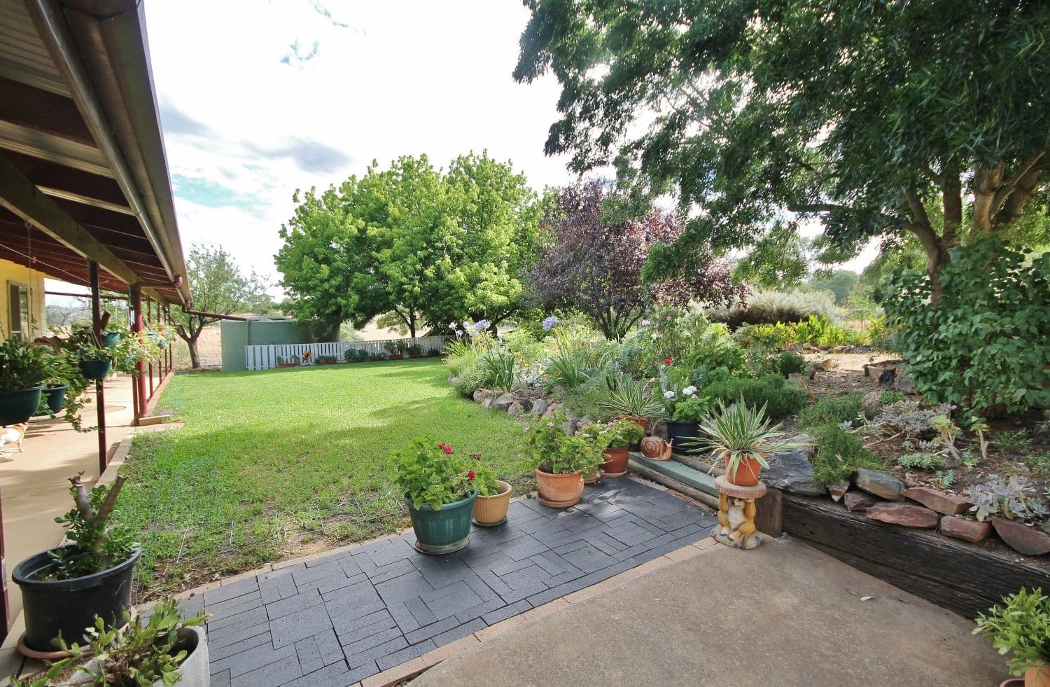 59 Noonans Road, Young - Thumbnail 6