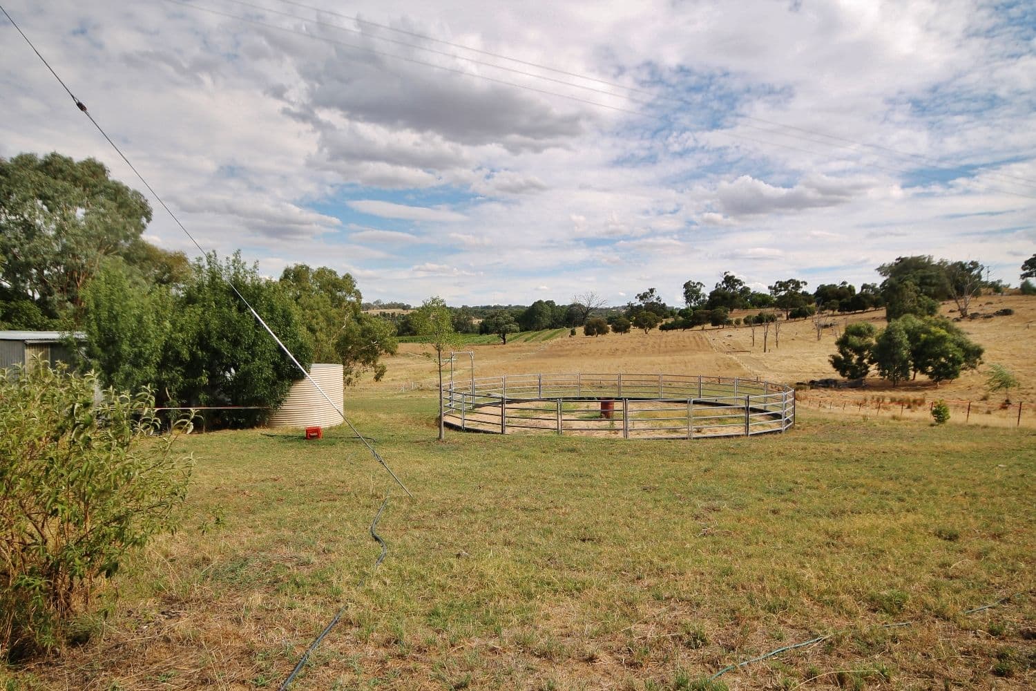 59 Noonans Road, Young - Thumbnail 8