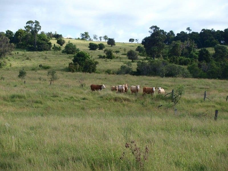 HAIGSLEA QLD 4306, Haigslea - Thumbnail 3