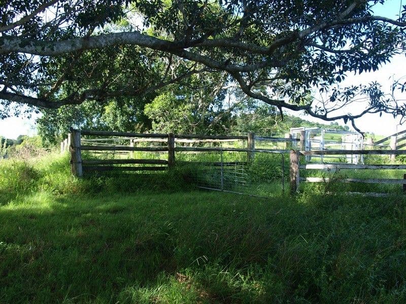 HAIGSLEA QLD 4306, Haigslea - Thumbnail 4