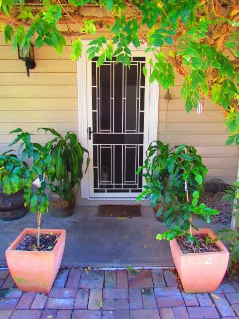 34 West Street, MACKSVILLE NSW 2447, Macksville - Thumbnail 6