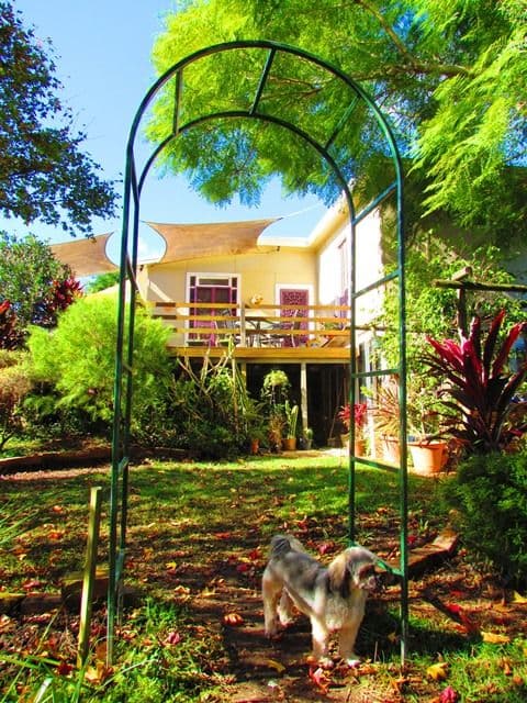 34 West Street, MACKSVILLE NSW 2447, Macksville - Thumbnail 8