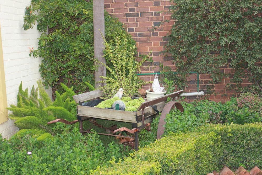 162 DeBoos Street, Temora NSW 2666, Temora - Thumbnail 4