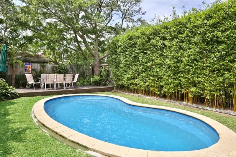 132 Renfrew Road, Gerringong NSW 2534, Gerringong - Thumbnail 8