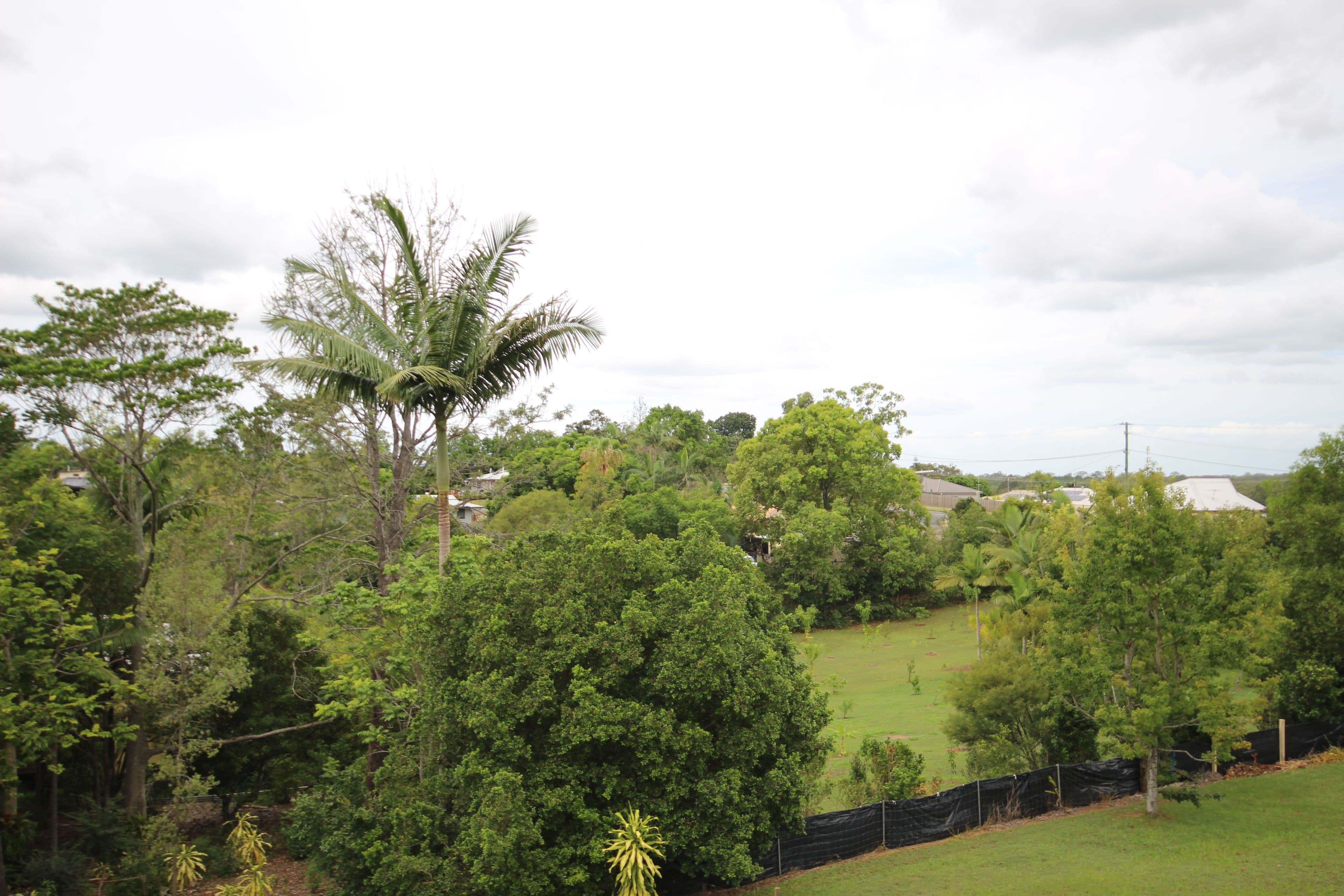 20 Buzaki Road, Glass House Mountains QLD 4518, Glass House Mountains - Thumbnail 4