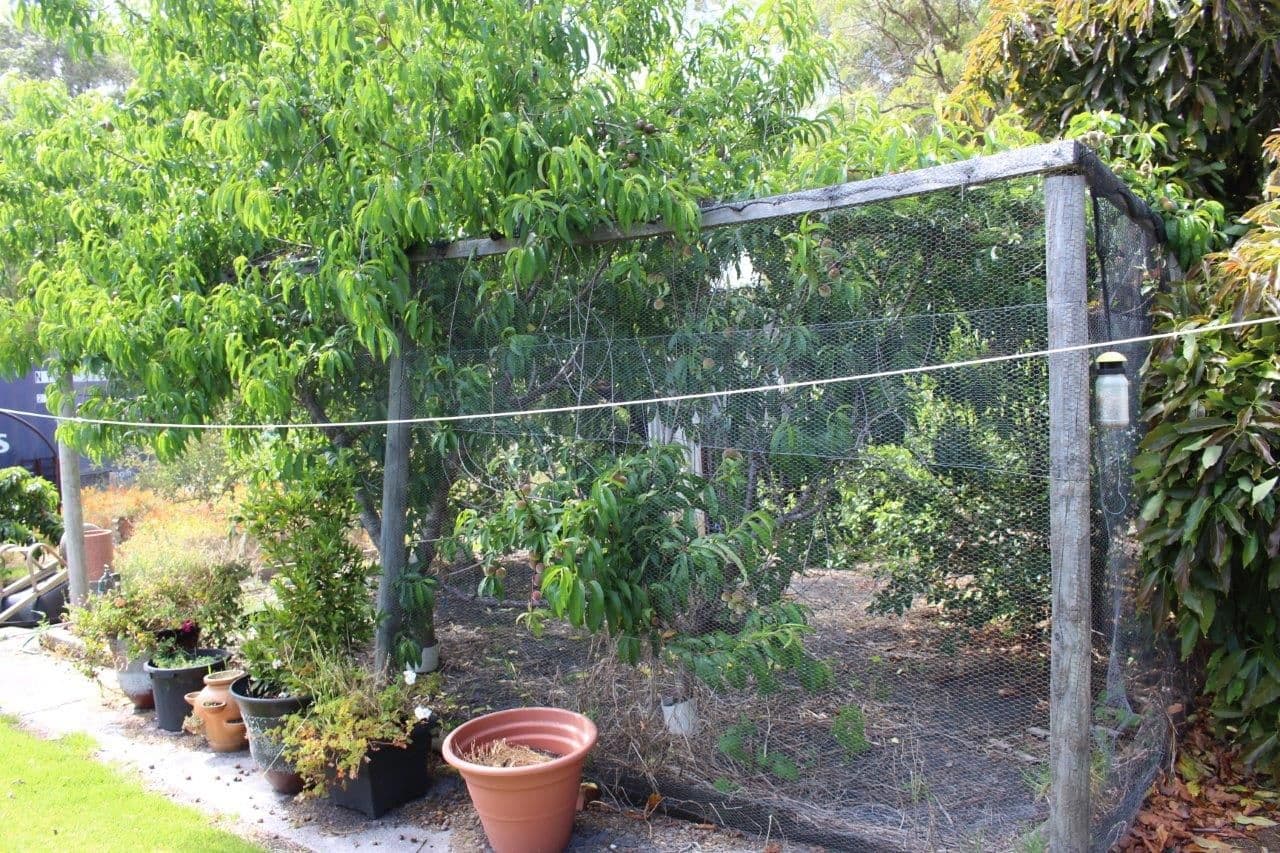 16 Sheoak Street, Walpole WA 6398, Walpole - Thumbnail 8