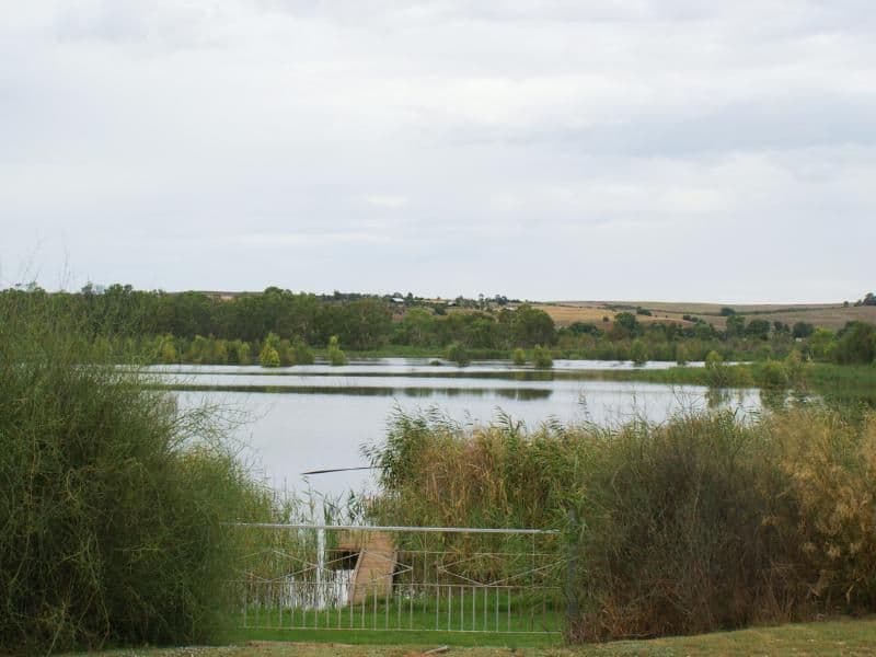 195 (Lot 4) Purnong Road, MANNUM SA 5238, Mannum - Image 1
